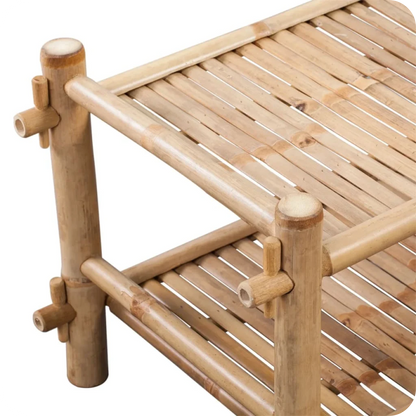 Eco-friendly bamboo shoe rack with two tiers for storage