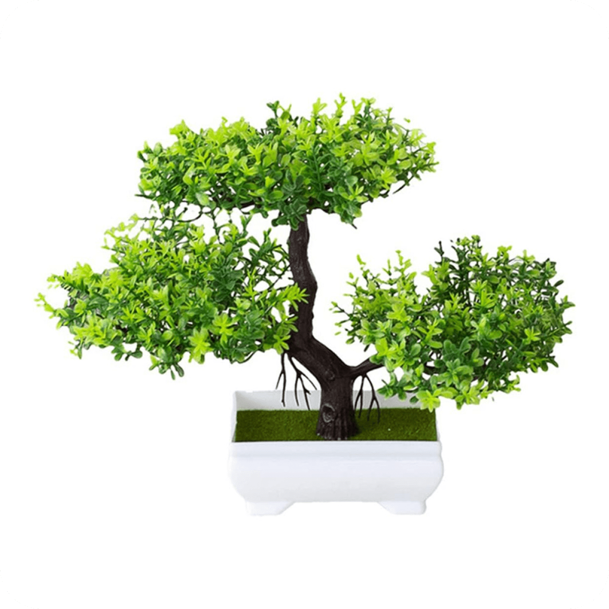 Miniature bonsai tree plant for a serene and calming space